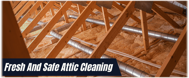 Attic Cleaning Norcross GA